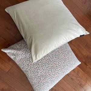 Two Throw pillows